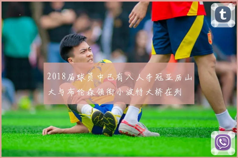 2018届球员中已有八人夺冠亚历山大与布伦森领衔小波特大桥在列