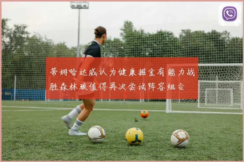 蒂姆哈达威认为健康掘金有能力战胜森林狼值得再次尝试阵容组合