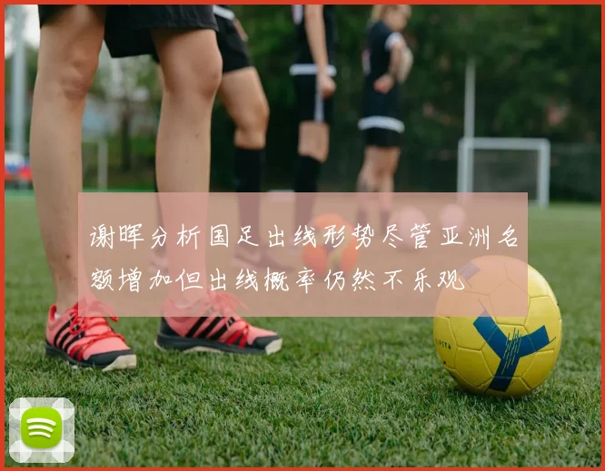 谢晖分析国足出线形势尽管亚洲名额增加但出线概率仍然不乐观